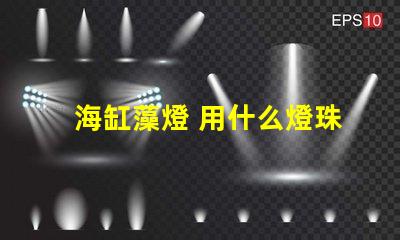 海缸藻燈 用什么燈珠